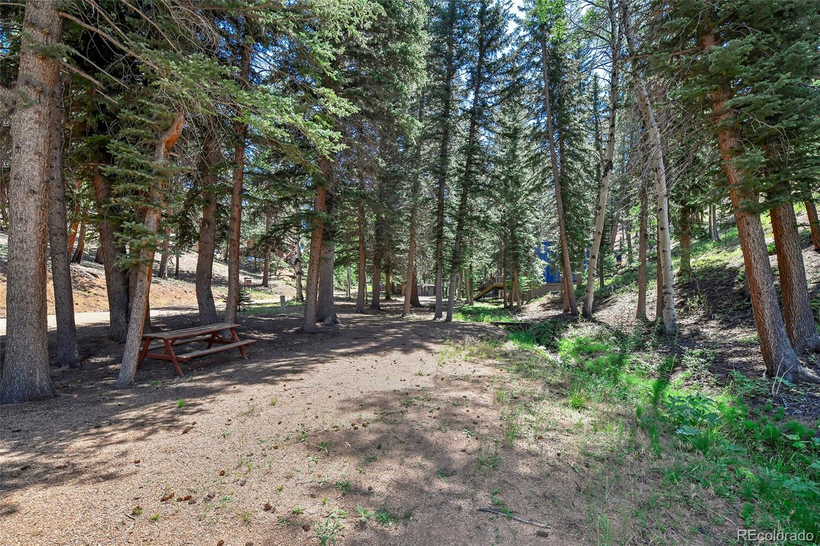 MLS Image #22 for 136  rudy drive,woodland park, Colorado