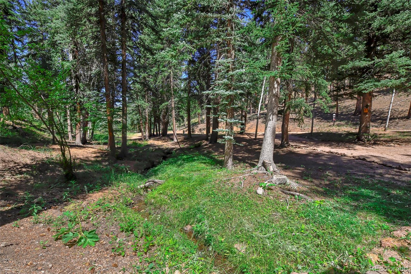 MLS Image #24 for 136  rudy drive,woodland park, Colorado