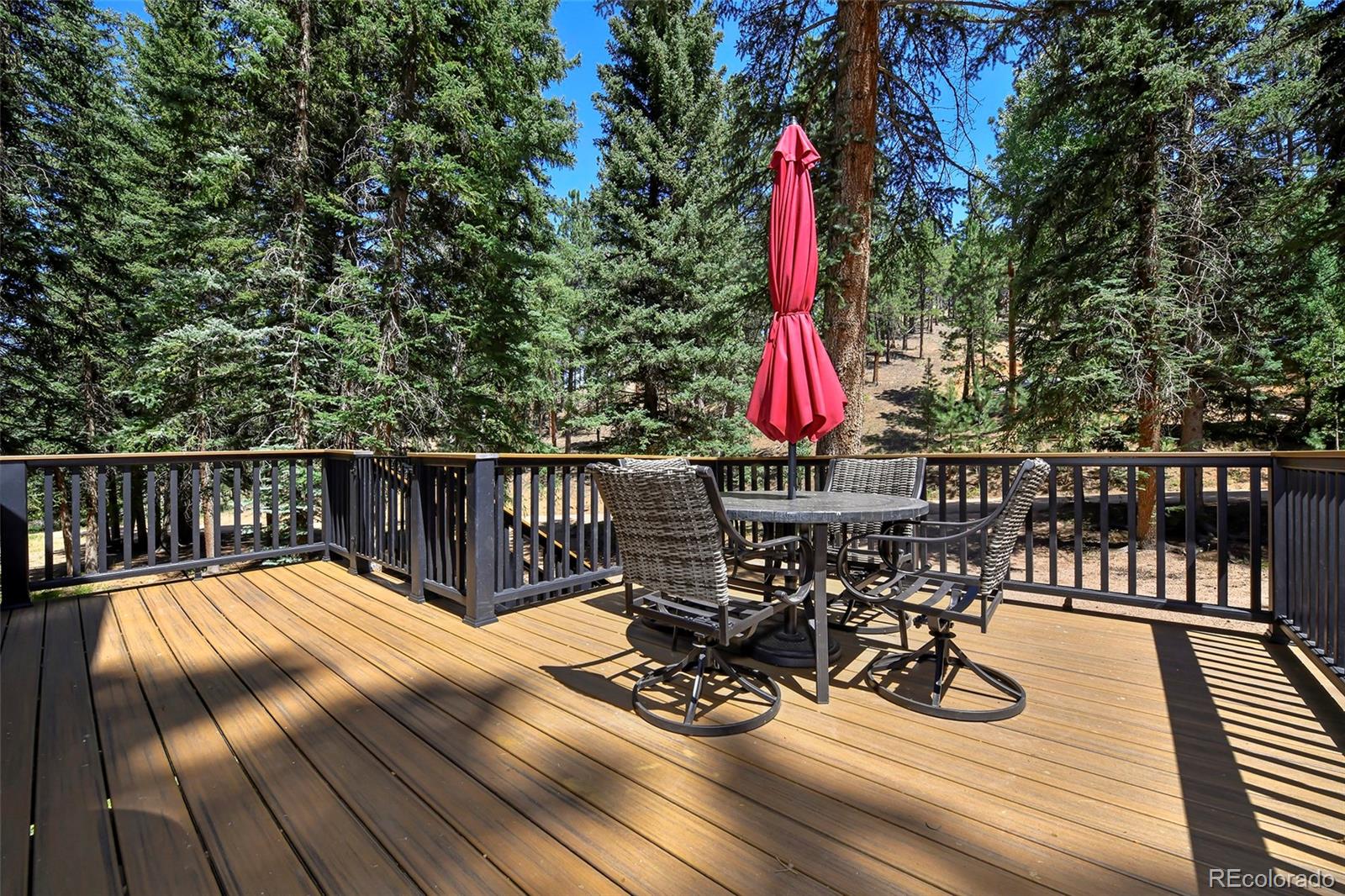 MLS Image #25 for 136  rudy drive,woodland park, Colorado