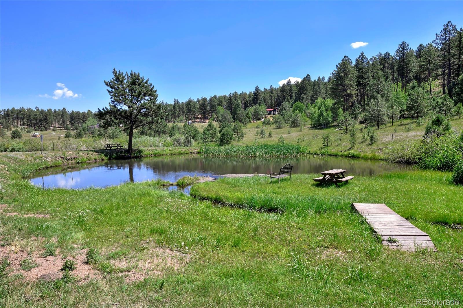 MLS Image #33 for 136  rudy drive,woodland park, Colorado