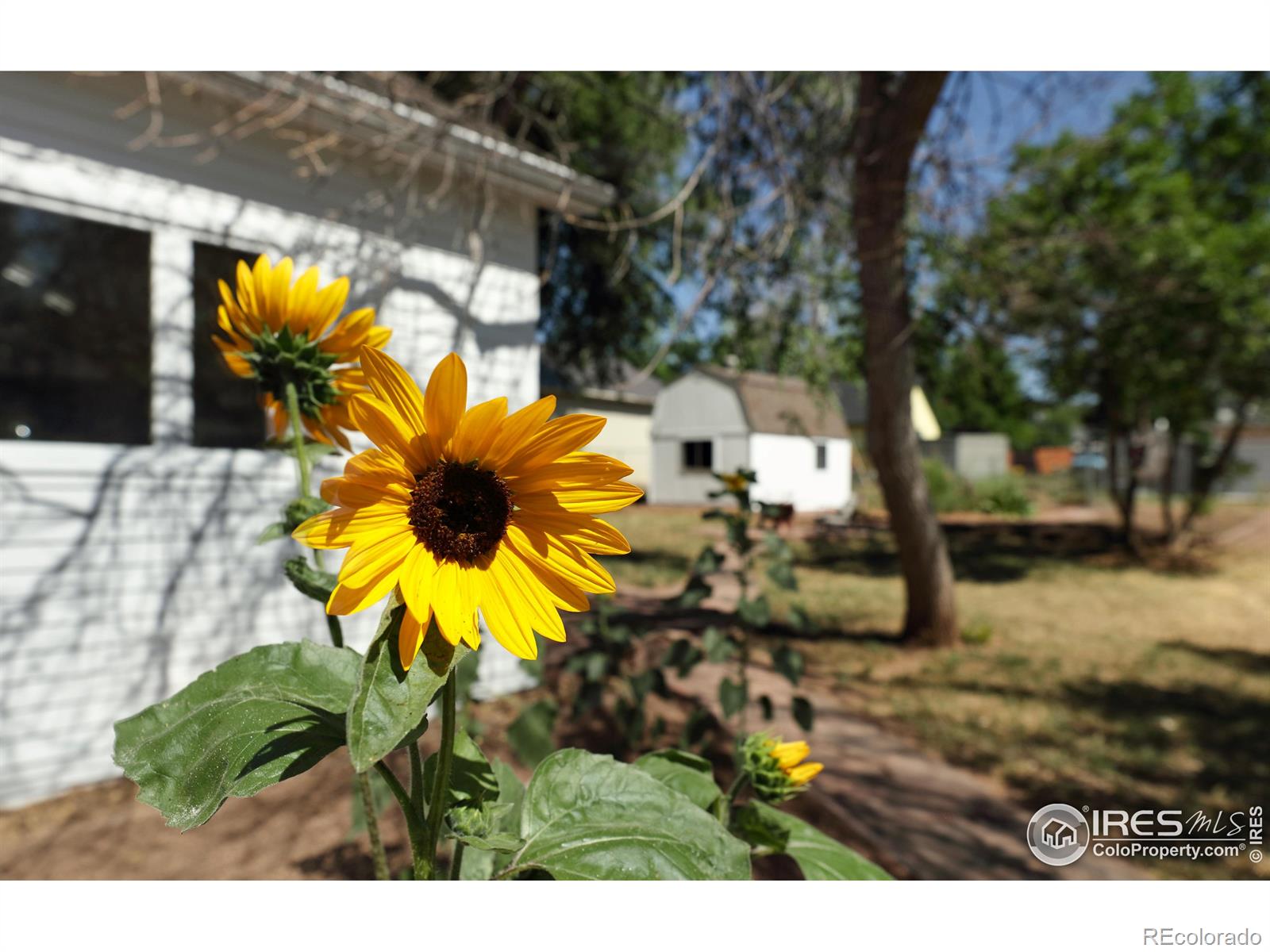 MLS Image #22 for 428  stickney avenue,lyons, Colorado