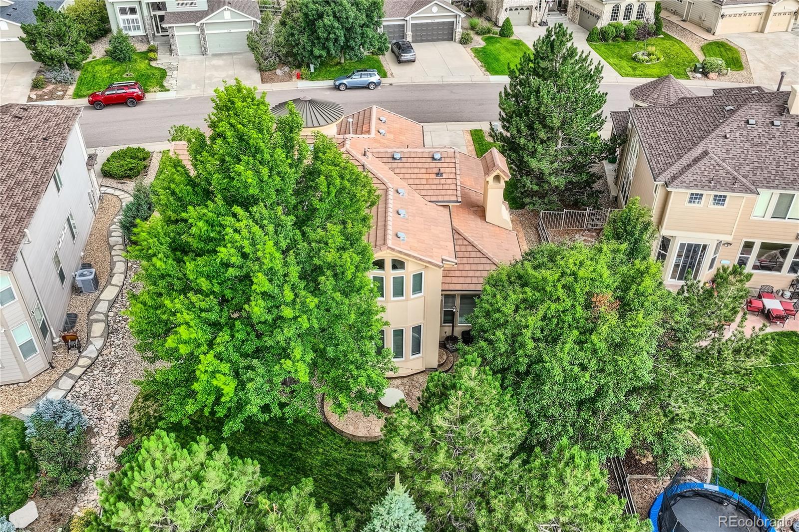 MLS Image #42 for 6157  vacquero drive,castle pines, Colorado