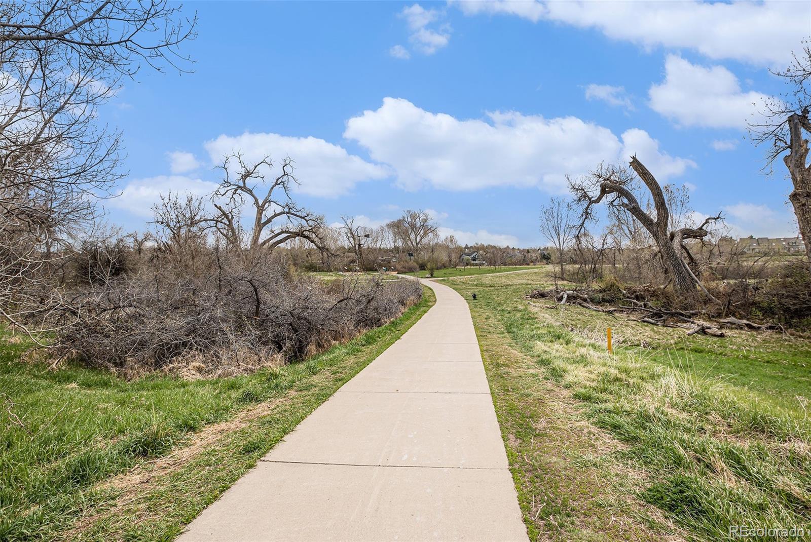 MLS Image #26 for 6217  trailhead road,highlands ranch, Colorado