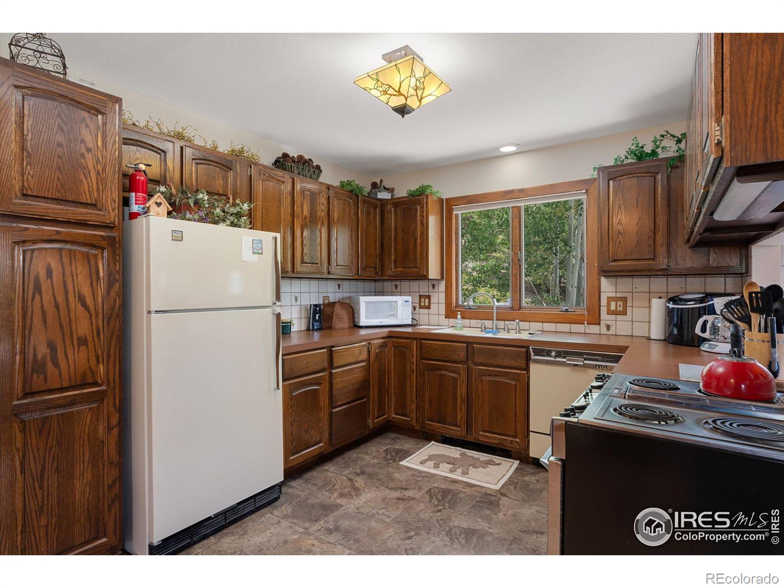 MLS Image #11 for 1355  okmulgee circle,red feather lakes, Colorado