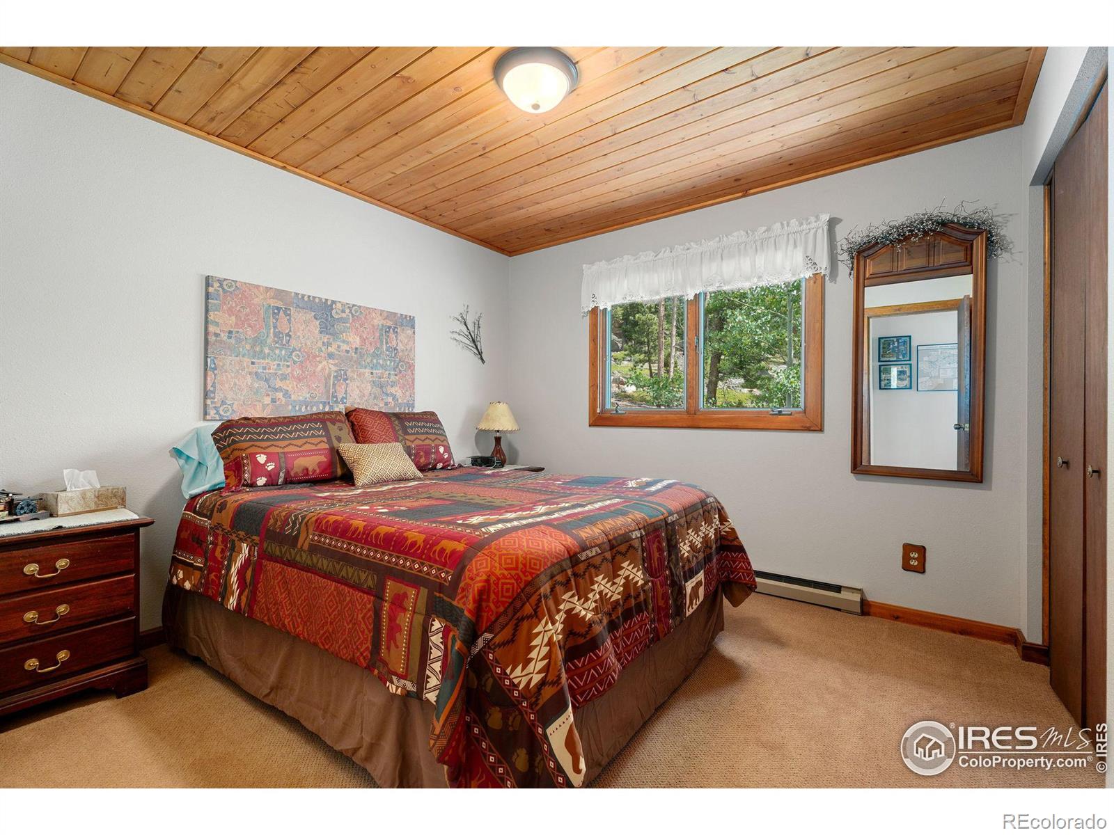 MLS Image #12 for 1355  okmulgee circle,red feather lakes, Colorado