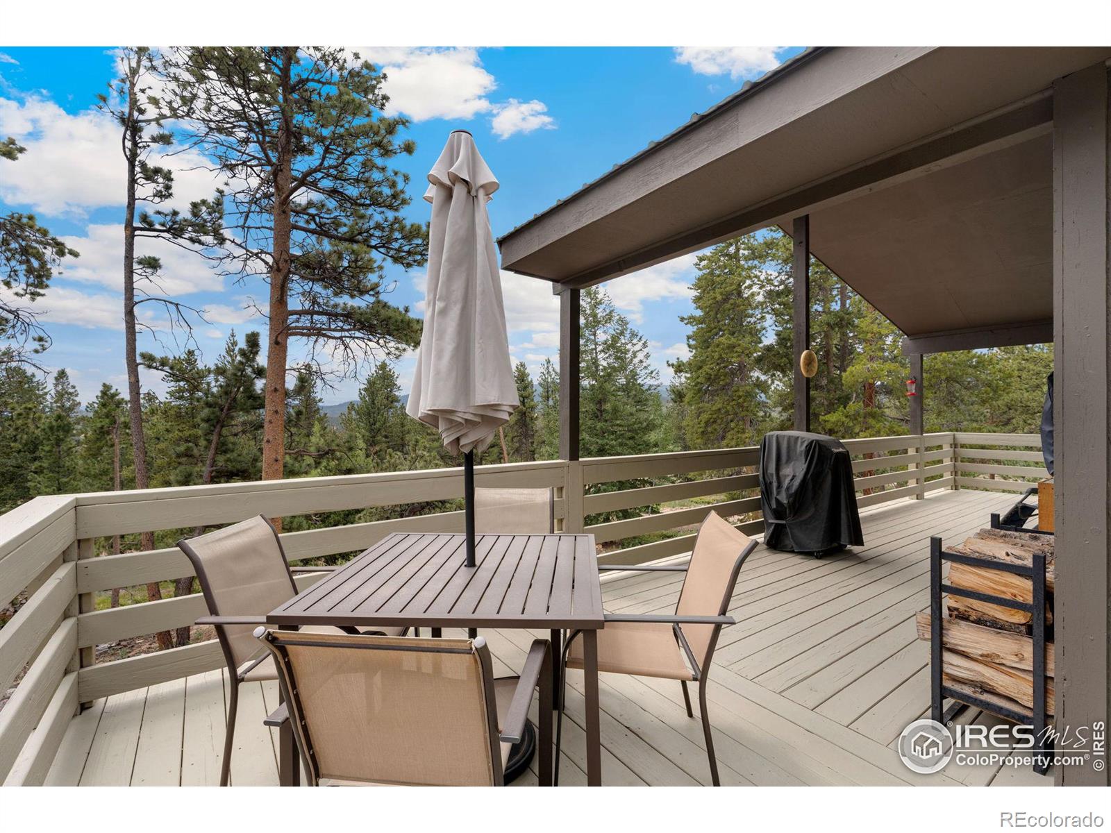 MLS Image #16 for 1355  okmulgee circle,red feather lakes, Colorado