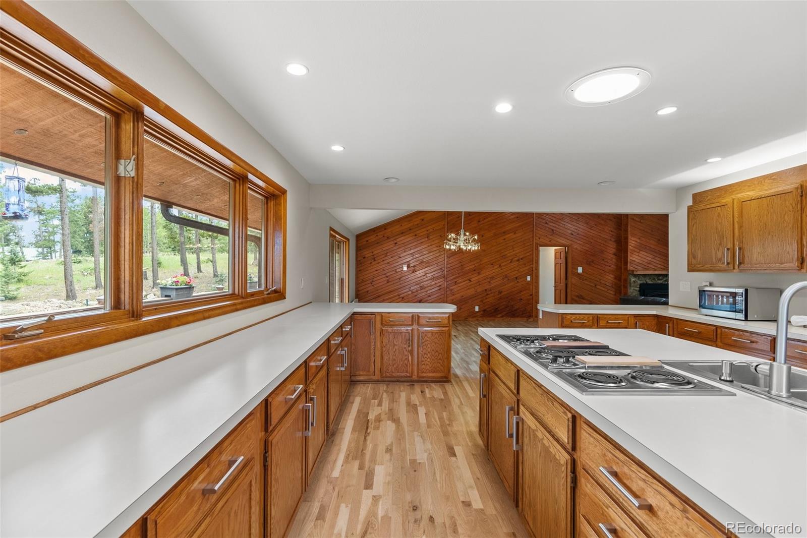 MLS Image #7 for 1403  sinton road,evergreen, Colorado