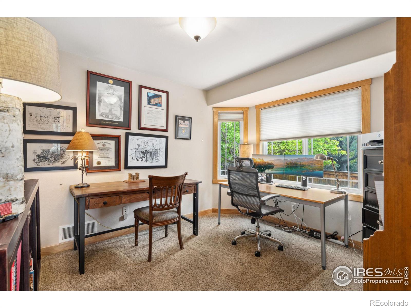 MLS Image #10 for 1408  expedition court,fort collins, Colorado