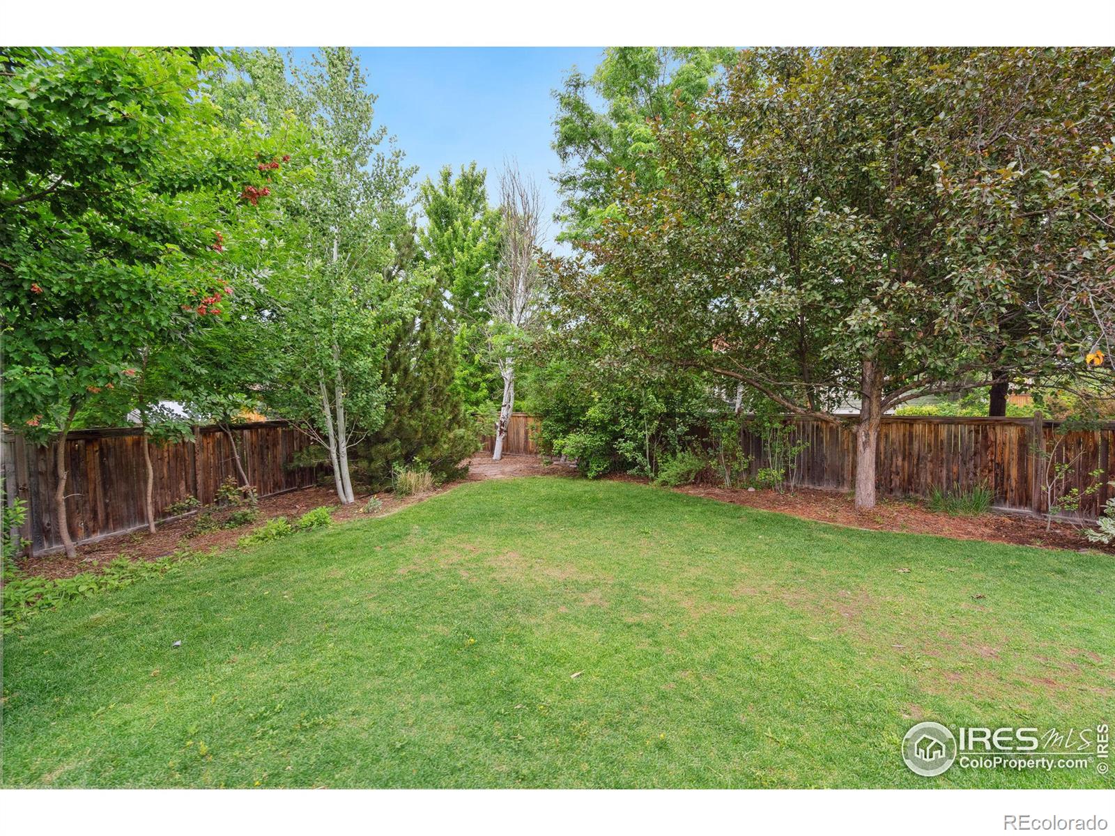MLS Image #36 for 1408  expedition court,fort collins, Colorado