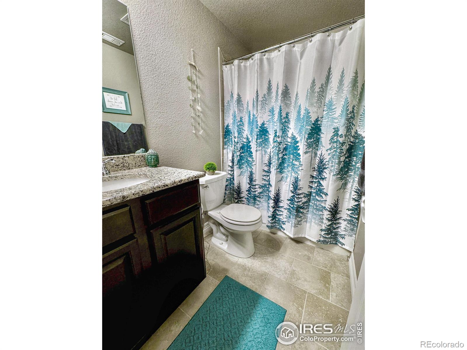 MLS Image #12 for 1195  green mountain road,severance, Colorado