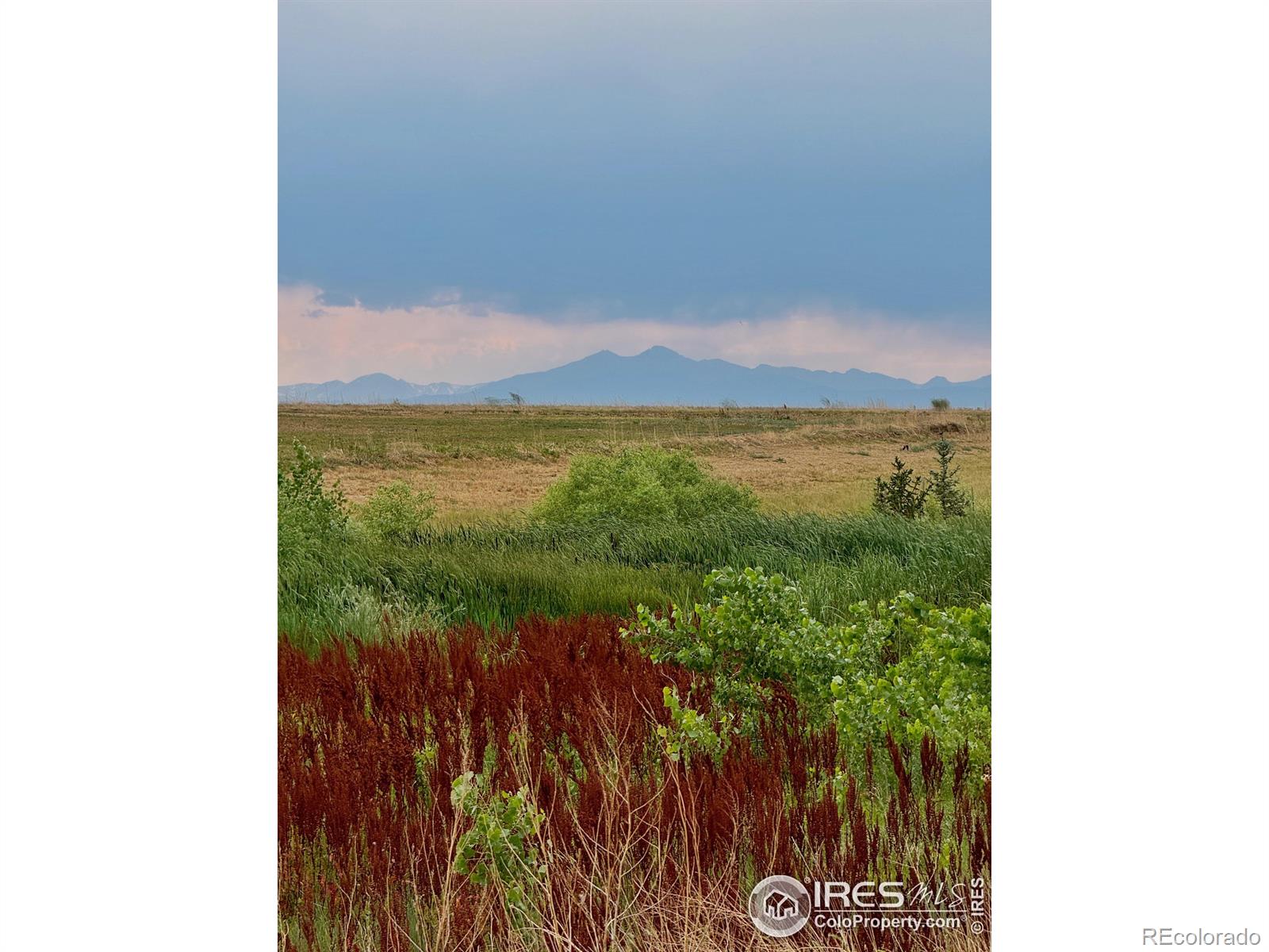 MLS Image #35 for 1195  green mountain road,severance, Colorado