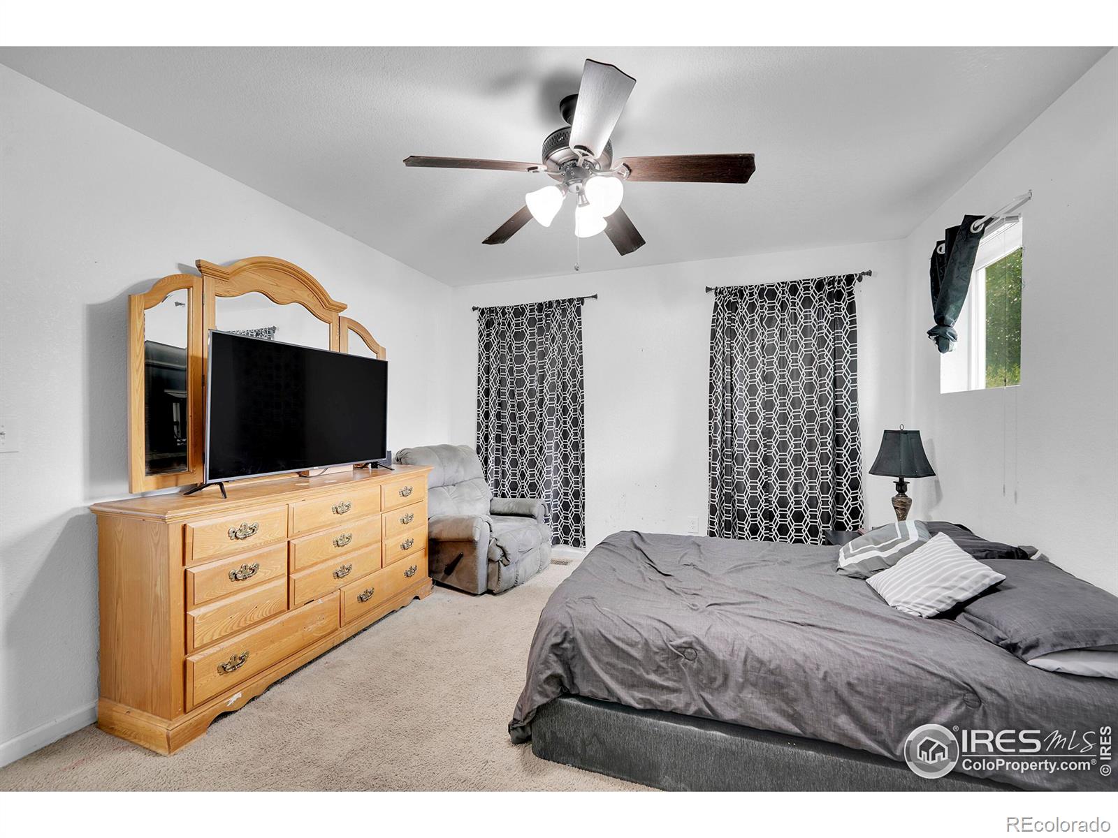 MLS Image #11 for 1014  glen dale circle,dacono, Colorado