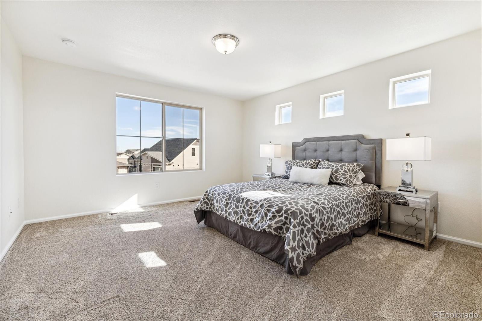 MLS Image #14 for 18086 e 104th way,commerce city, Colorado