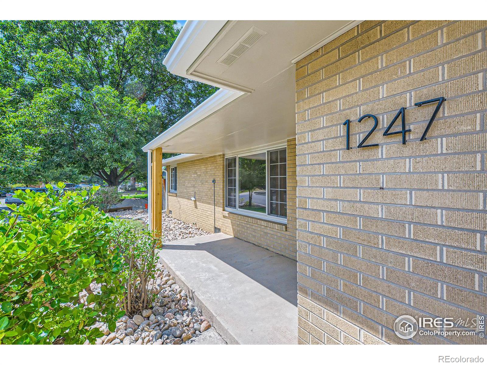 Report Image for 1247  Vivian Street,Longmont, Colorado