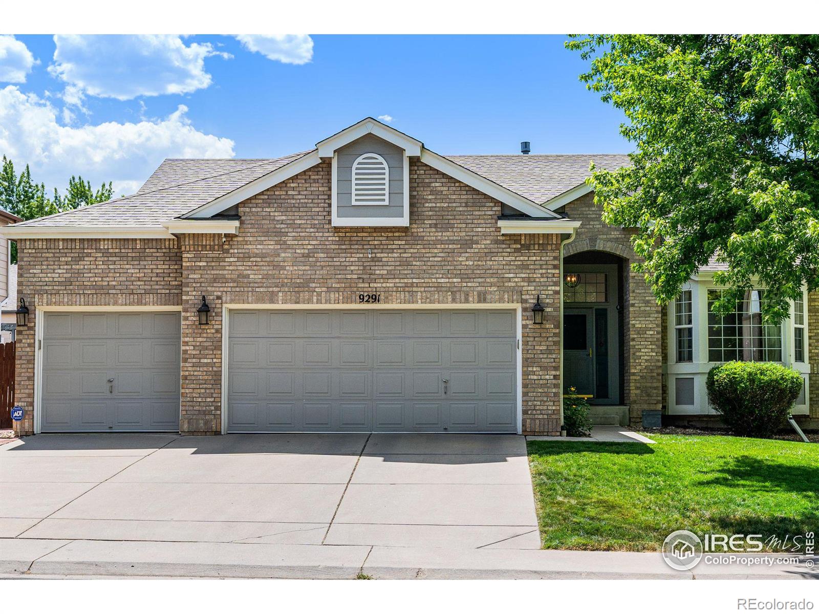 Report Image for 9291  Upham Way,Broomfield, Colorado