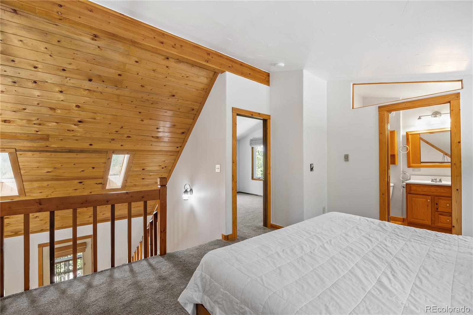 MLS Image #12 for 160  pine drive,idaho springs, Colorado