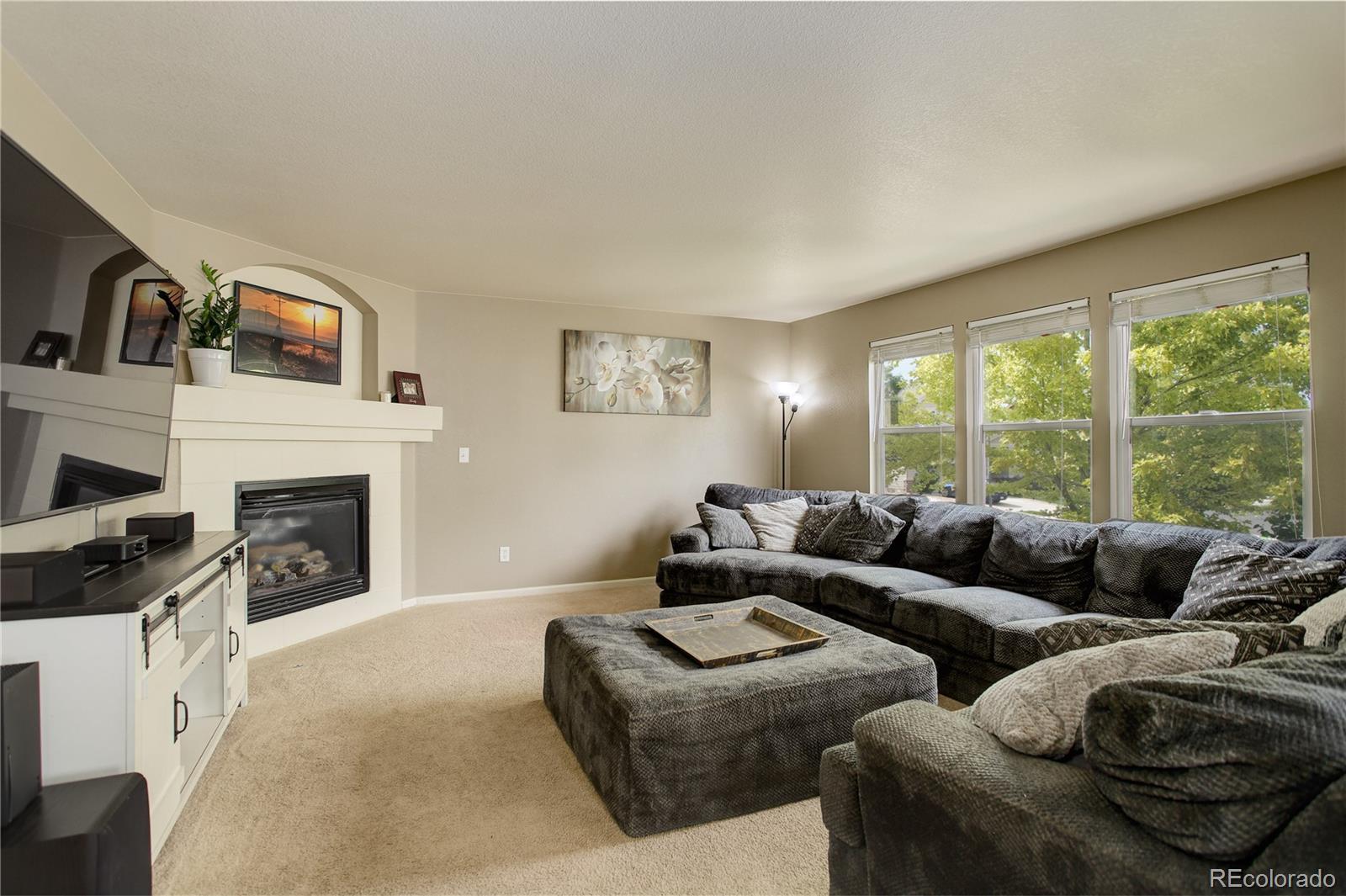 MLS Image #9 for 15235 e 100th drive,commerce city, Colorado