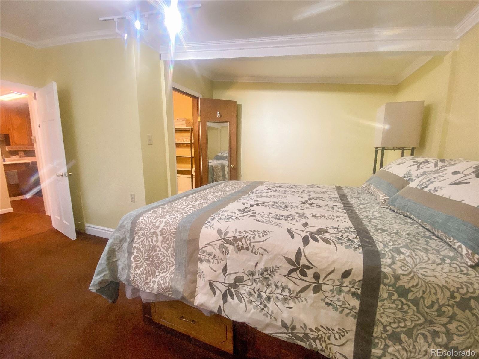 MLS Image #20 for 714  pine street,leadville, Colorado