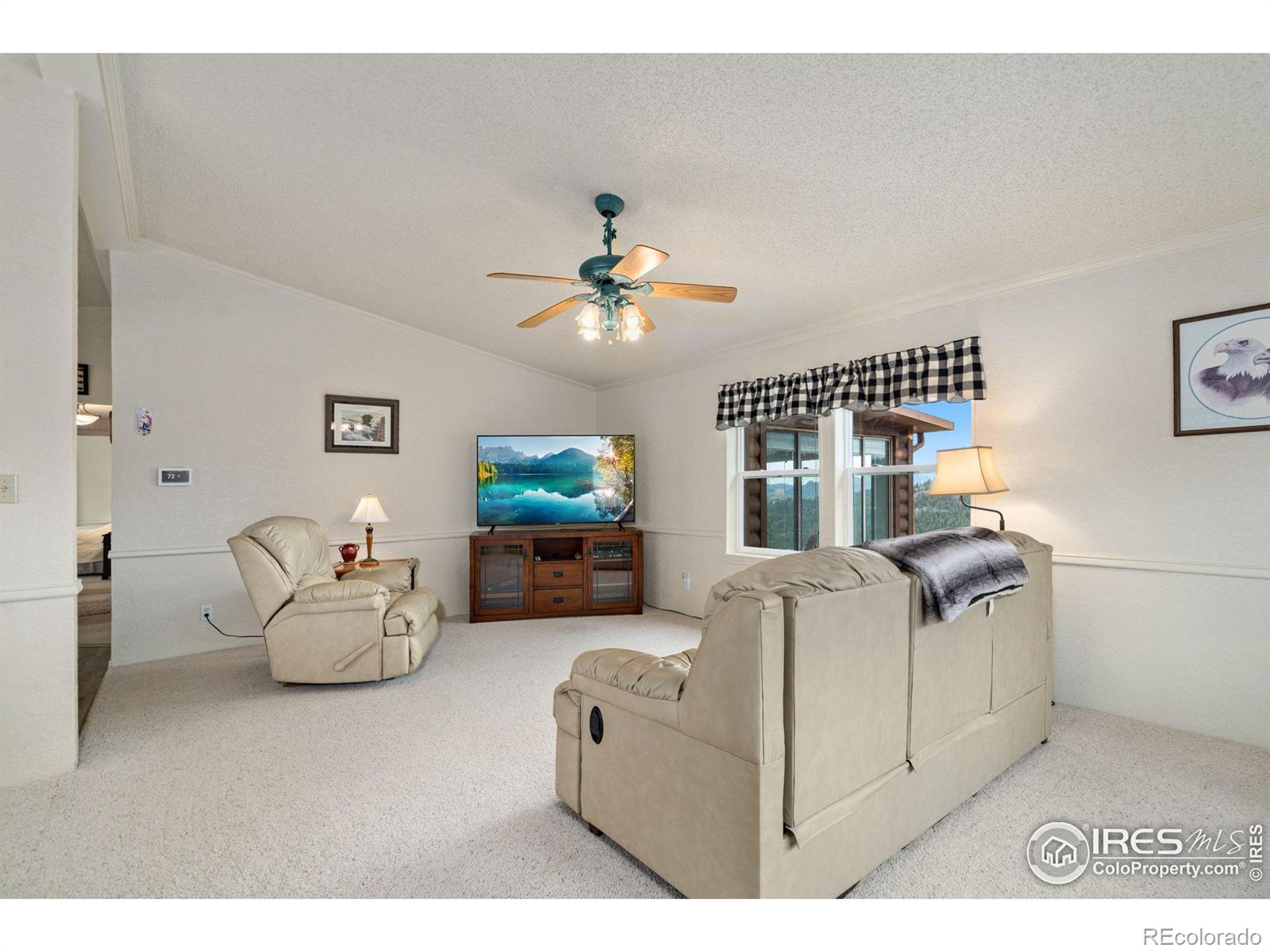 MLS Image #11 for 547  mount massive drive,livermore, Colorado