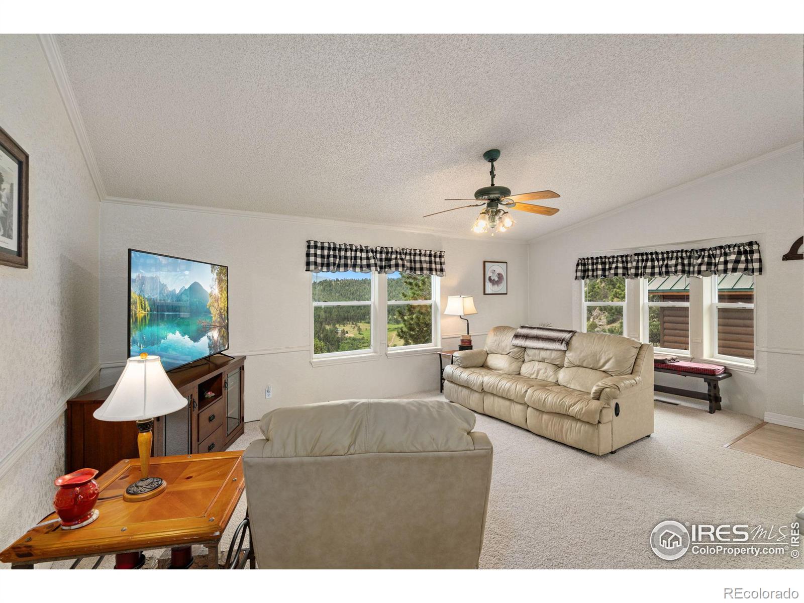 MLS Image #12 for 547  mount massive drive,livermore, Colorado