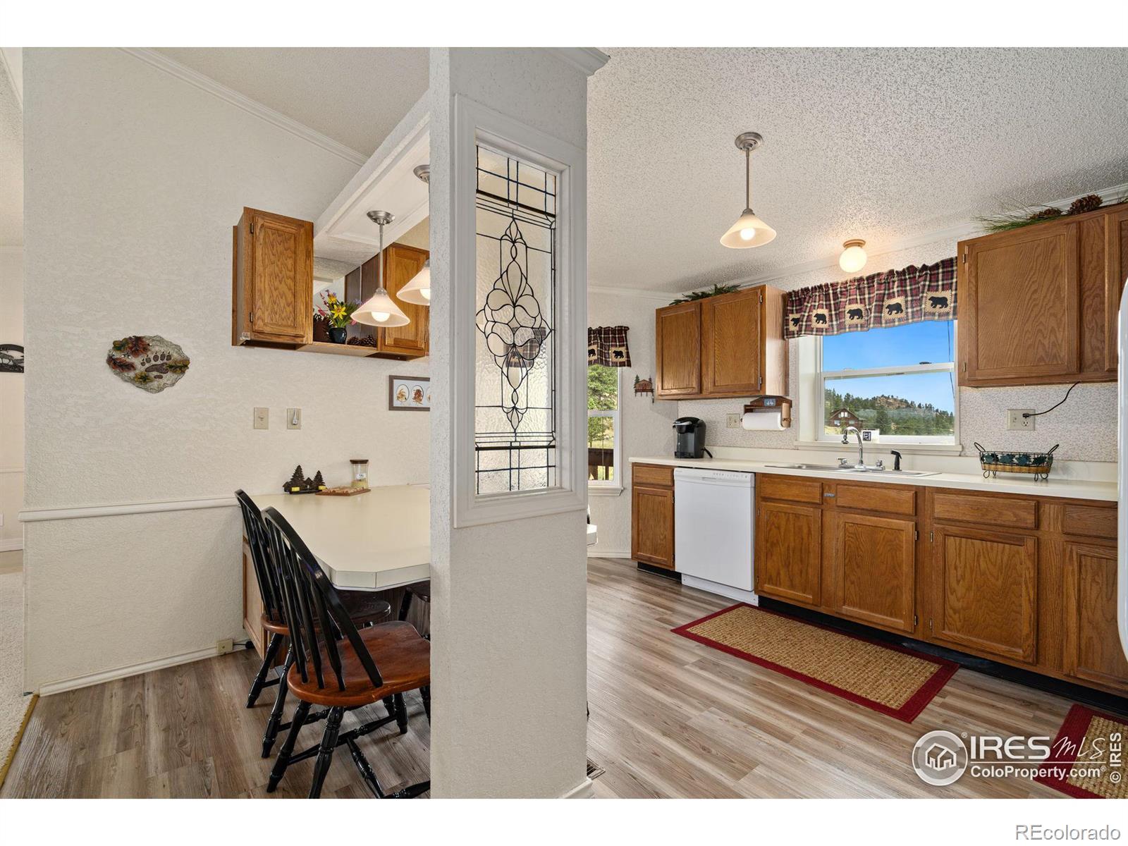 MLS Image #15 for 547  mount massive drive,livermore, Colorado