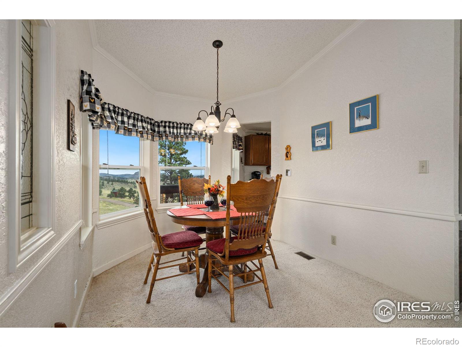 MLS Image #17 for 547  mount massive drive,livermore, Colorado