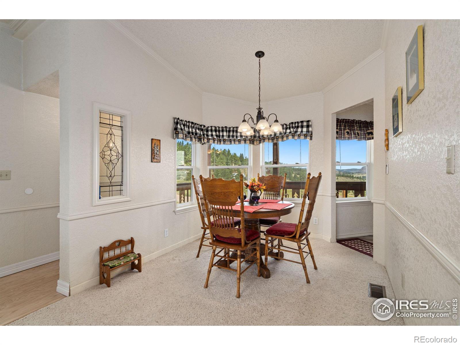 MLS Image #18 for 547  mount massive drive,livermore, Colorado