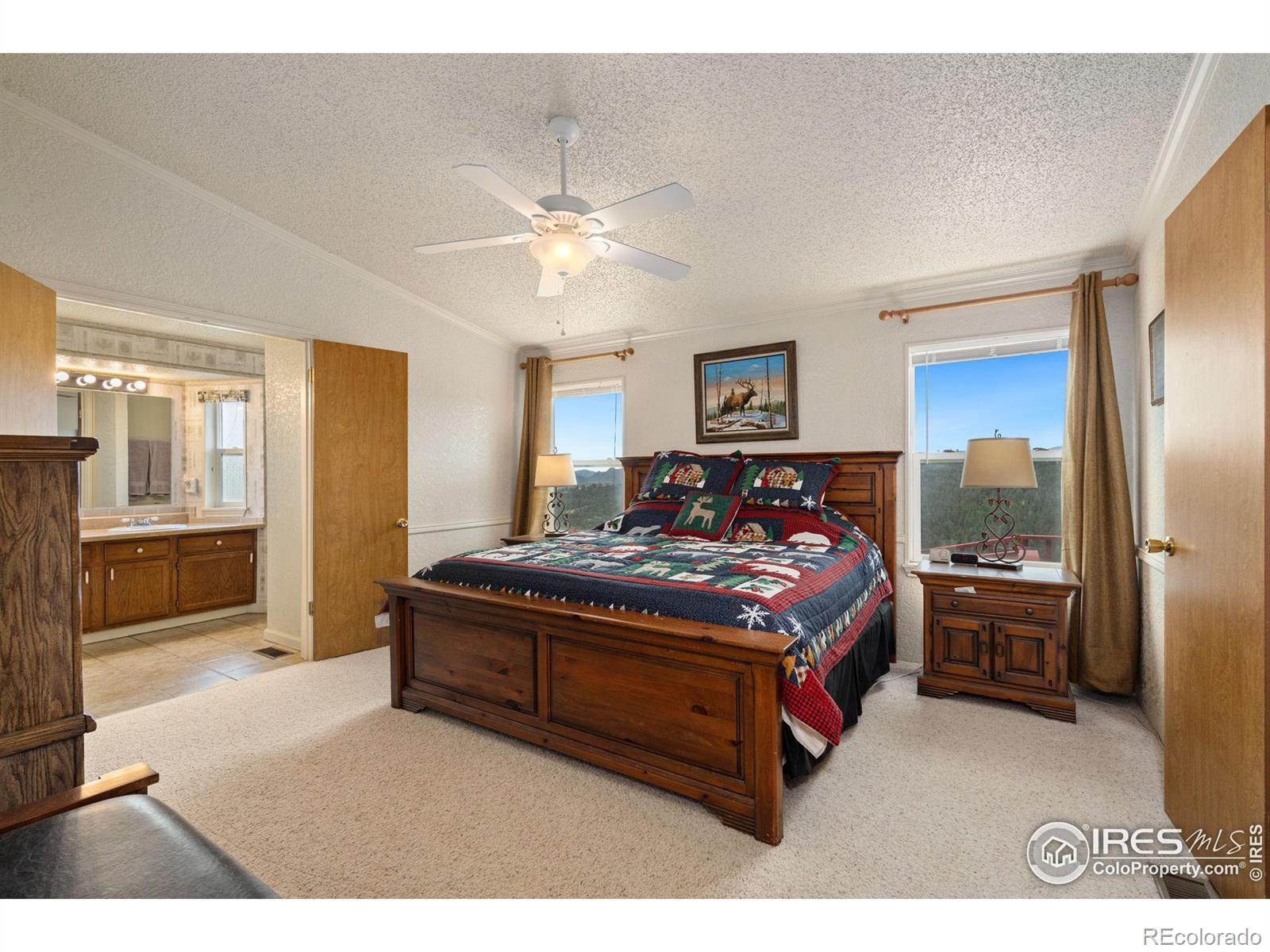 MLS Image #19 for 547  mount massive drive,livermore, Colorado