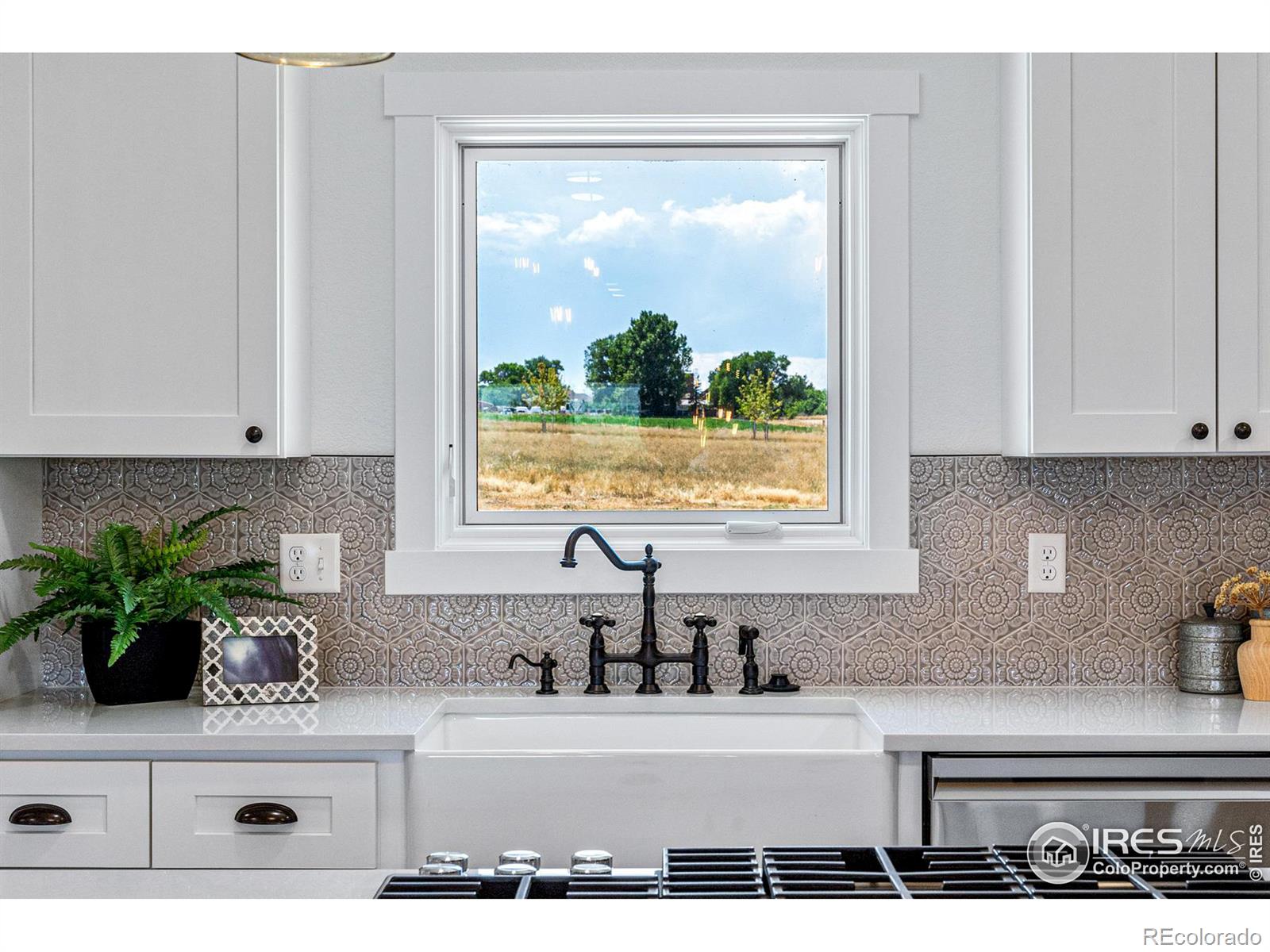 MLS Image #10 for 344  county road 16 1/2 ,longmont, Colorado