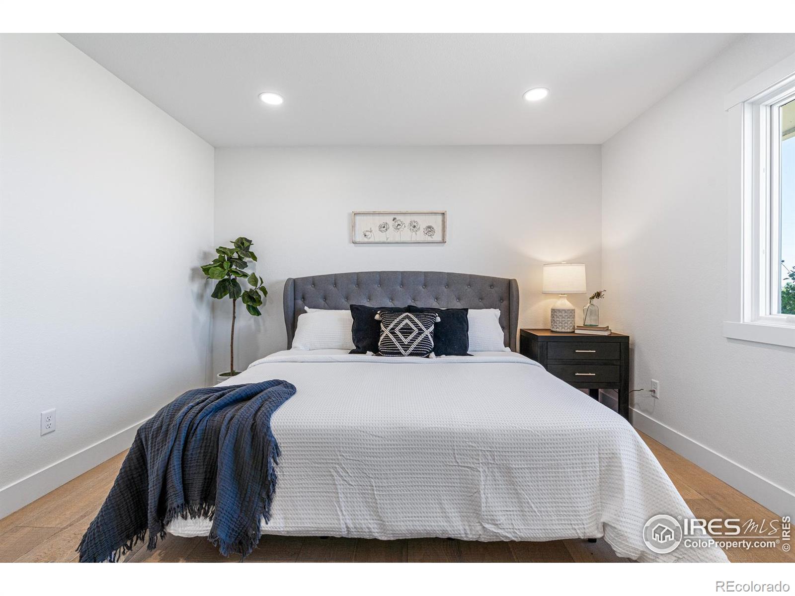 MLS Image #20 for 344  county road 16 1/2 ,longmont, Colorado