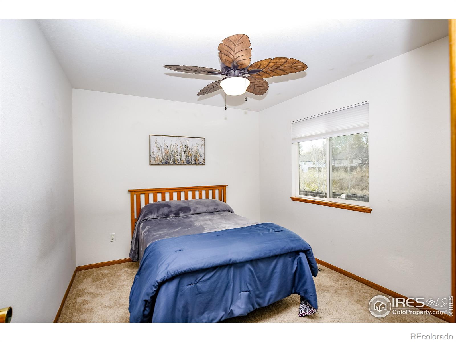 MLS Image #15 for 604  aviara street,johnstown, Colorado