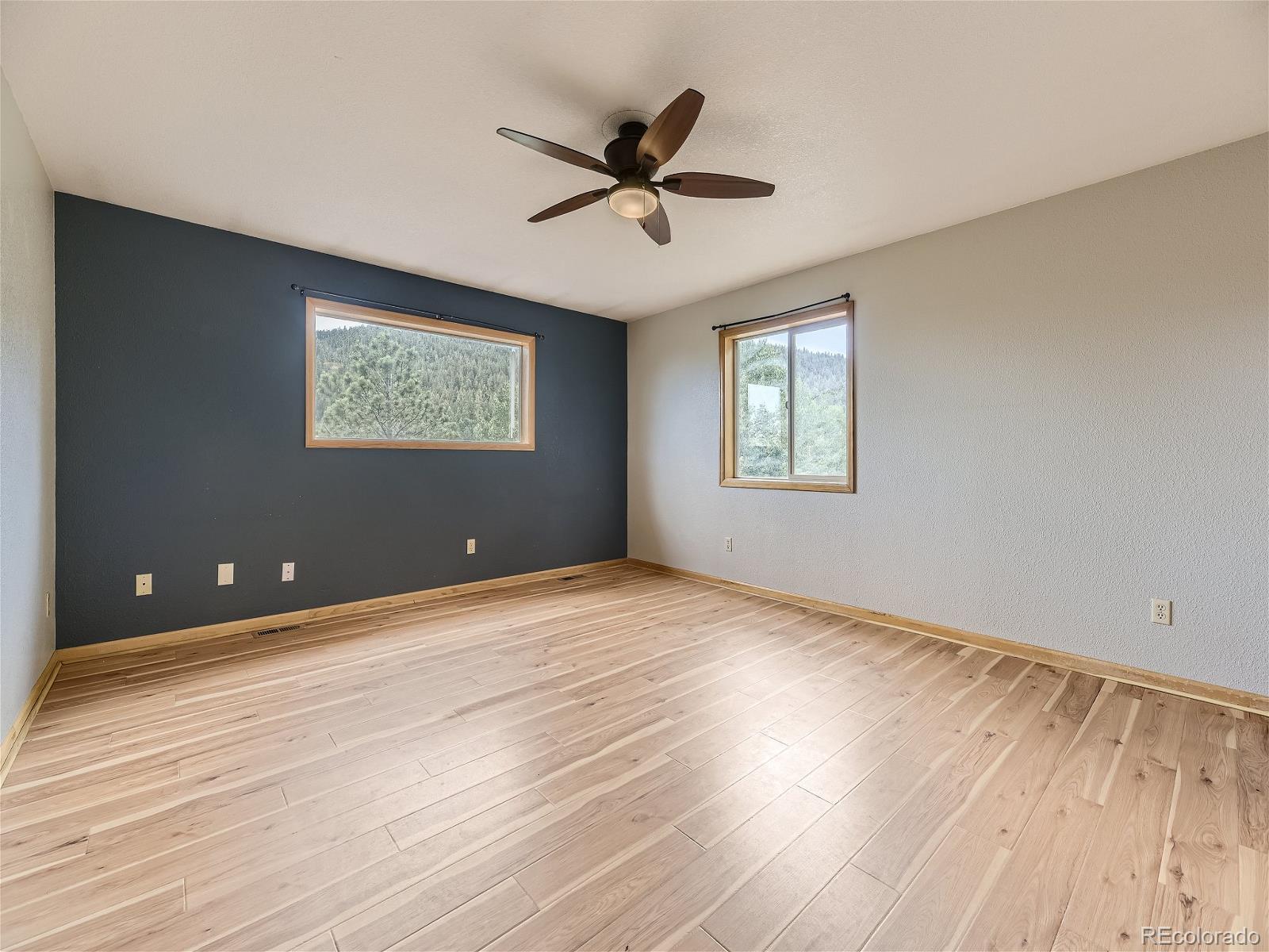 MLS Image #10 for 127 n pine drive,bailey, Colorado