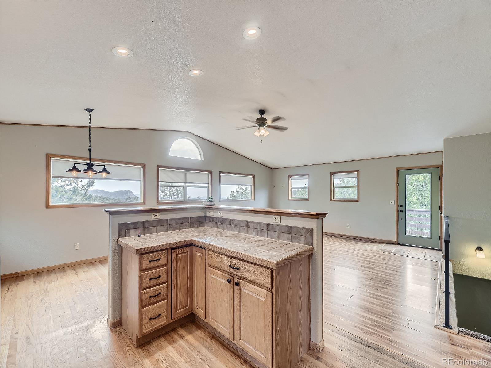 MLS Image #8 for 127 n pine drive,bailey, Colorado