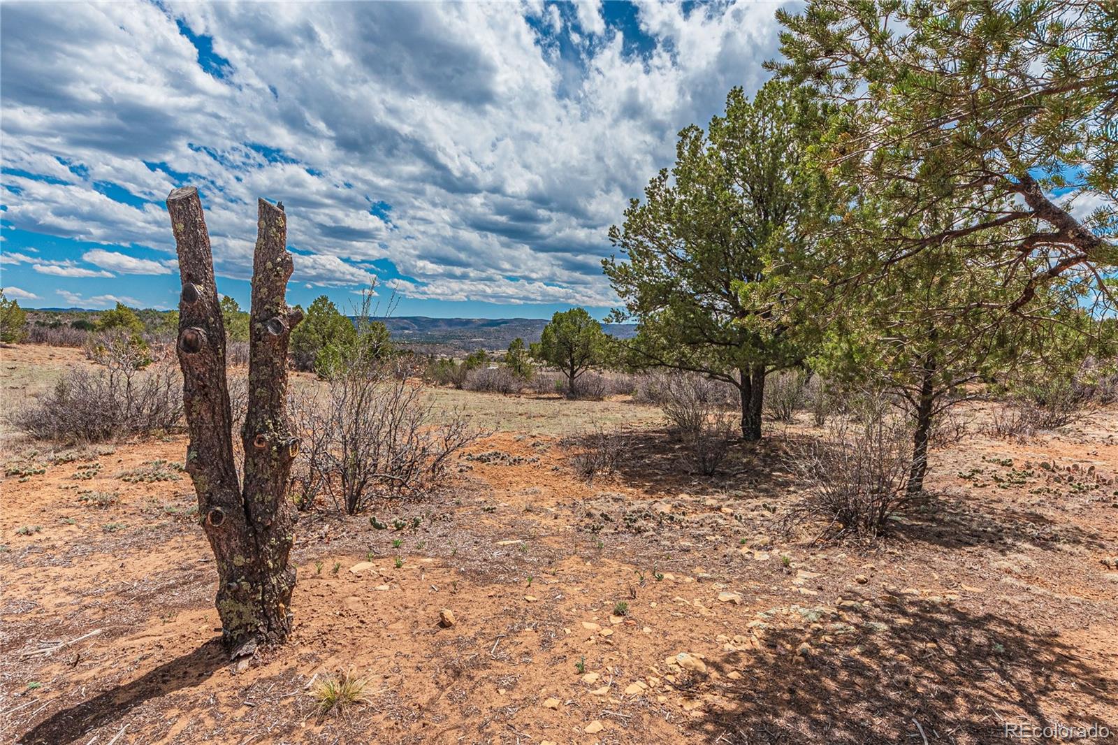 MLS Image #38 for 10694  county road ,trinidad, Colorado