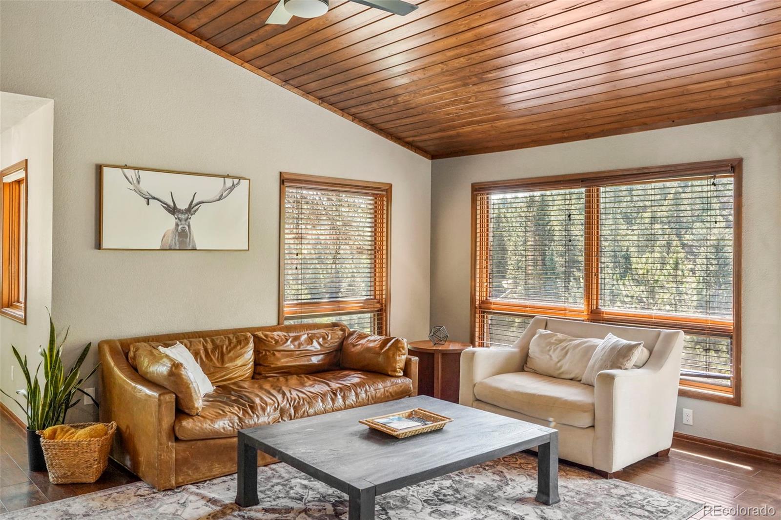 MLS Image #5 for 547  university drive,woodland park, Colorado