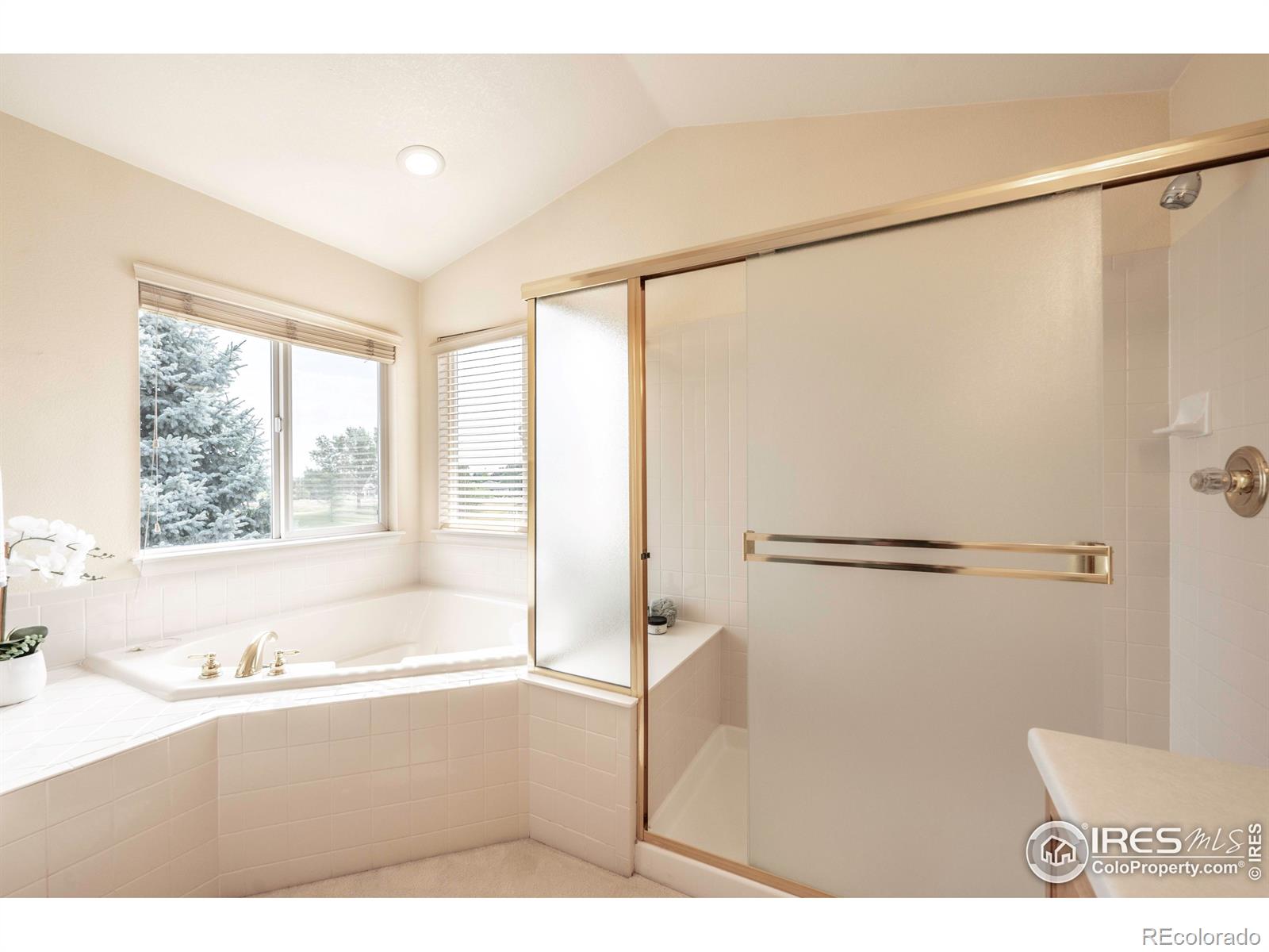 MLS Image #23 for 686  clarendon drive,longmont, Colorado