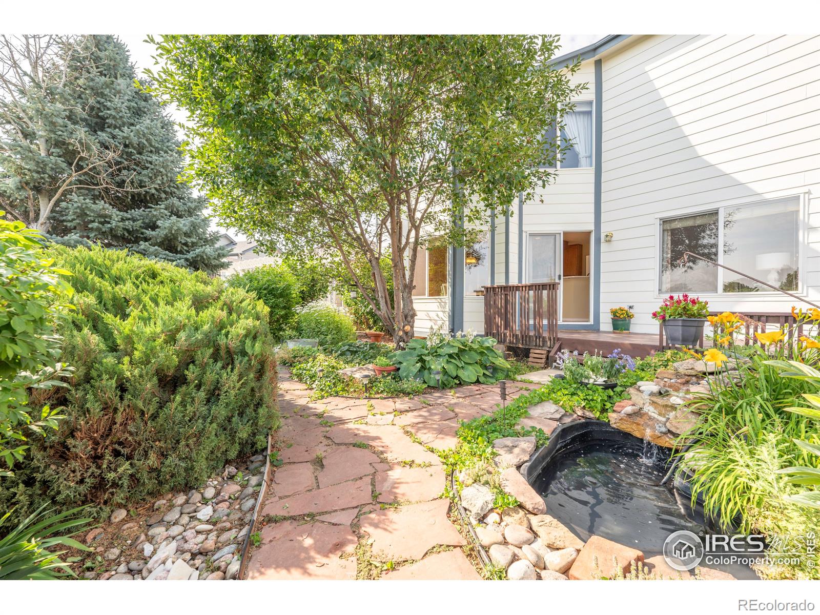 MLS Image #34 for 686  clarendon drive,longmont, Colorado