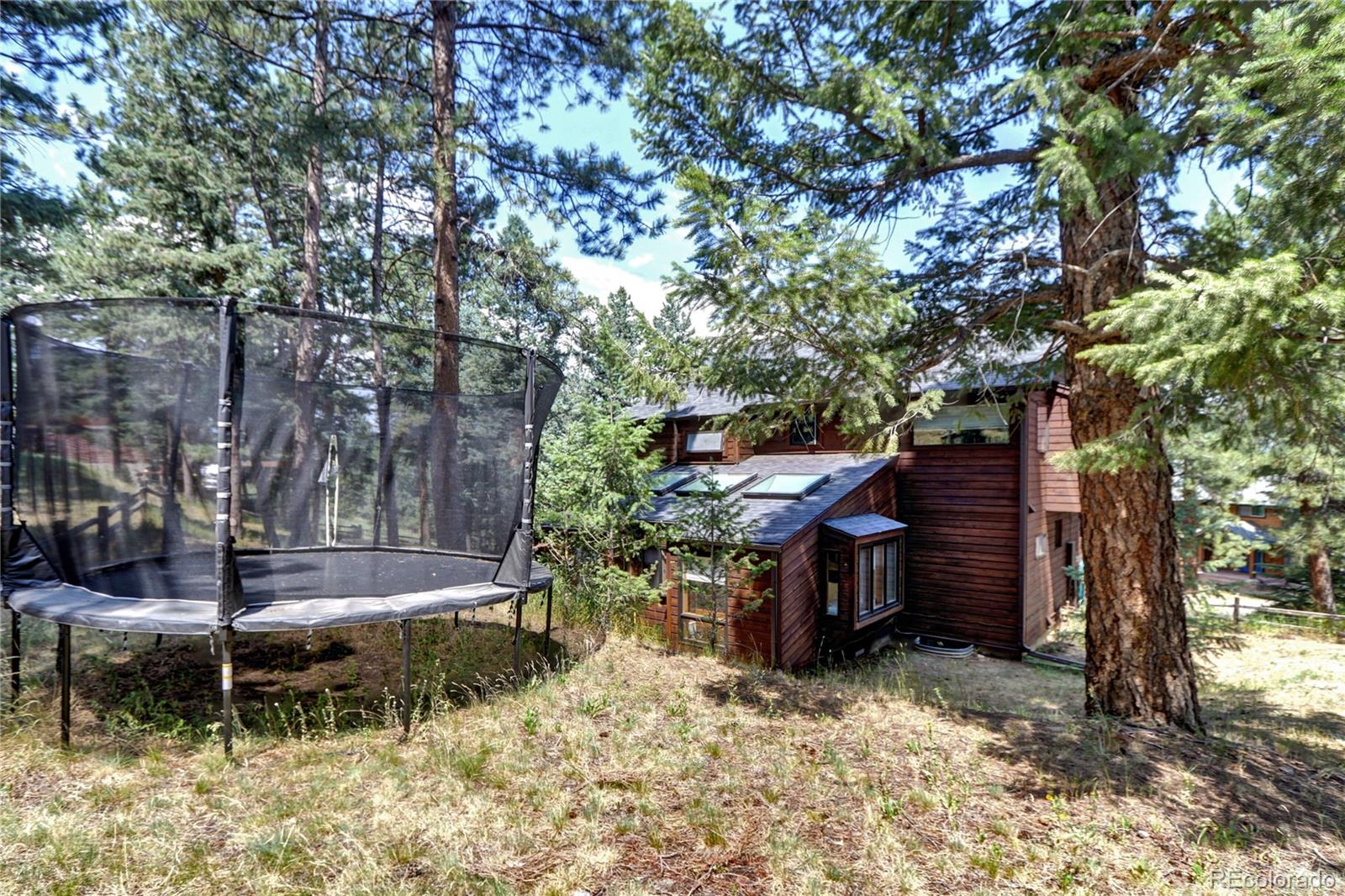 MLS Image #30 for 27690  moffat road,evergreen, Colorado