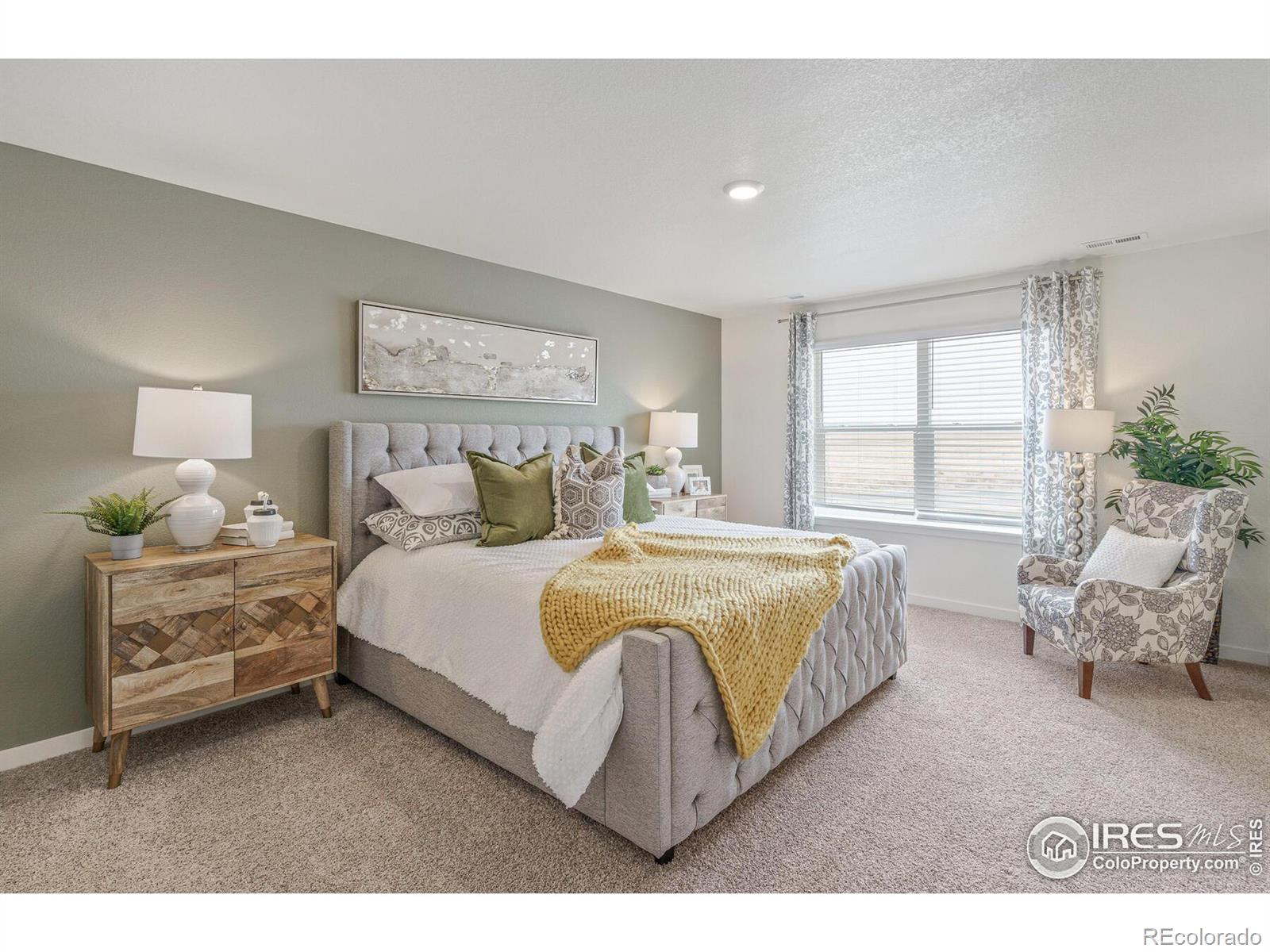 MLS Image #20 for 4694  windmill drive,brighton, Colorado