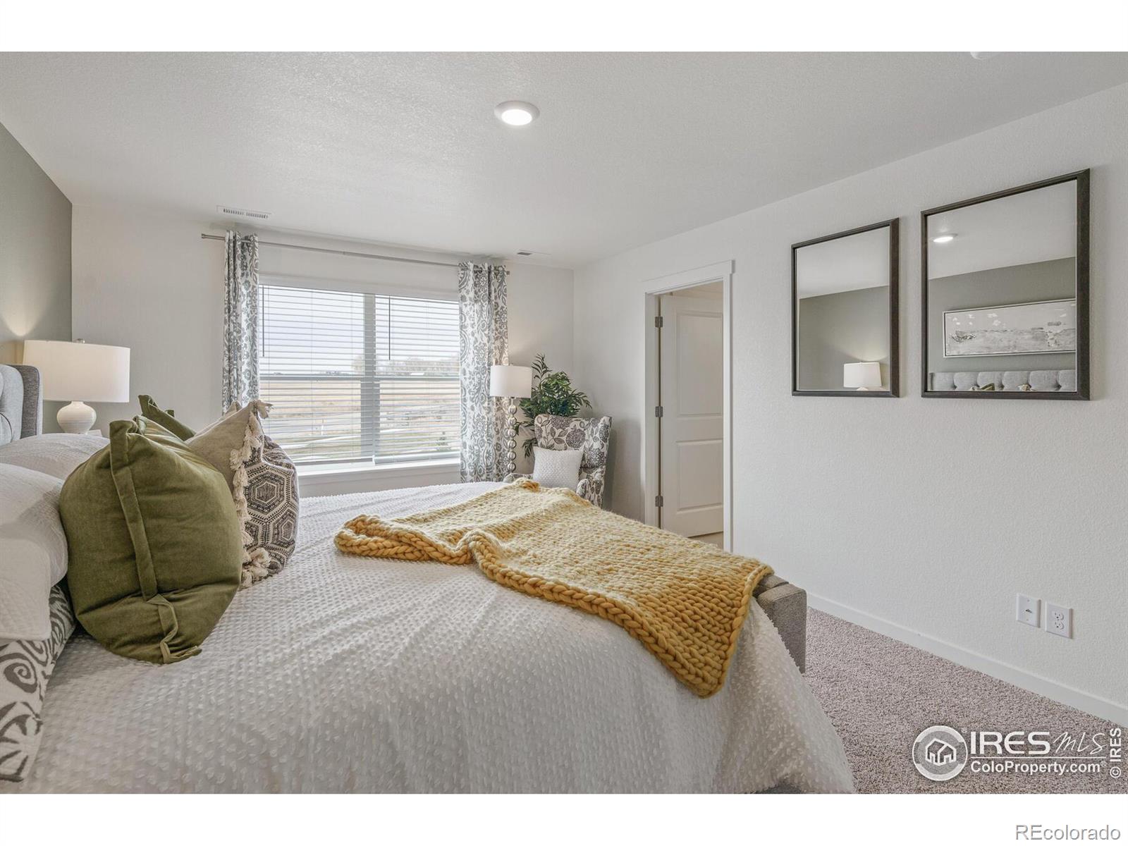 MLS Image #21 for 4694  windmill drive,brighton, Colorado