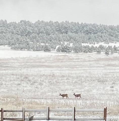 MLS Image #29 for 1311  black haw street,elizabeth, Colorado