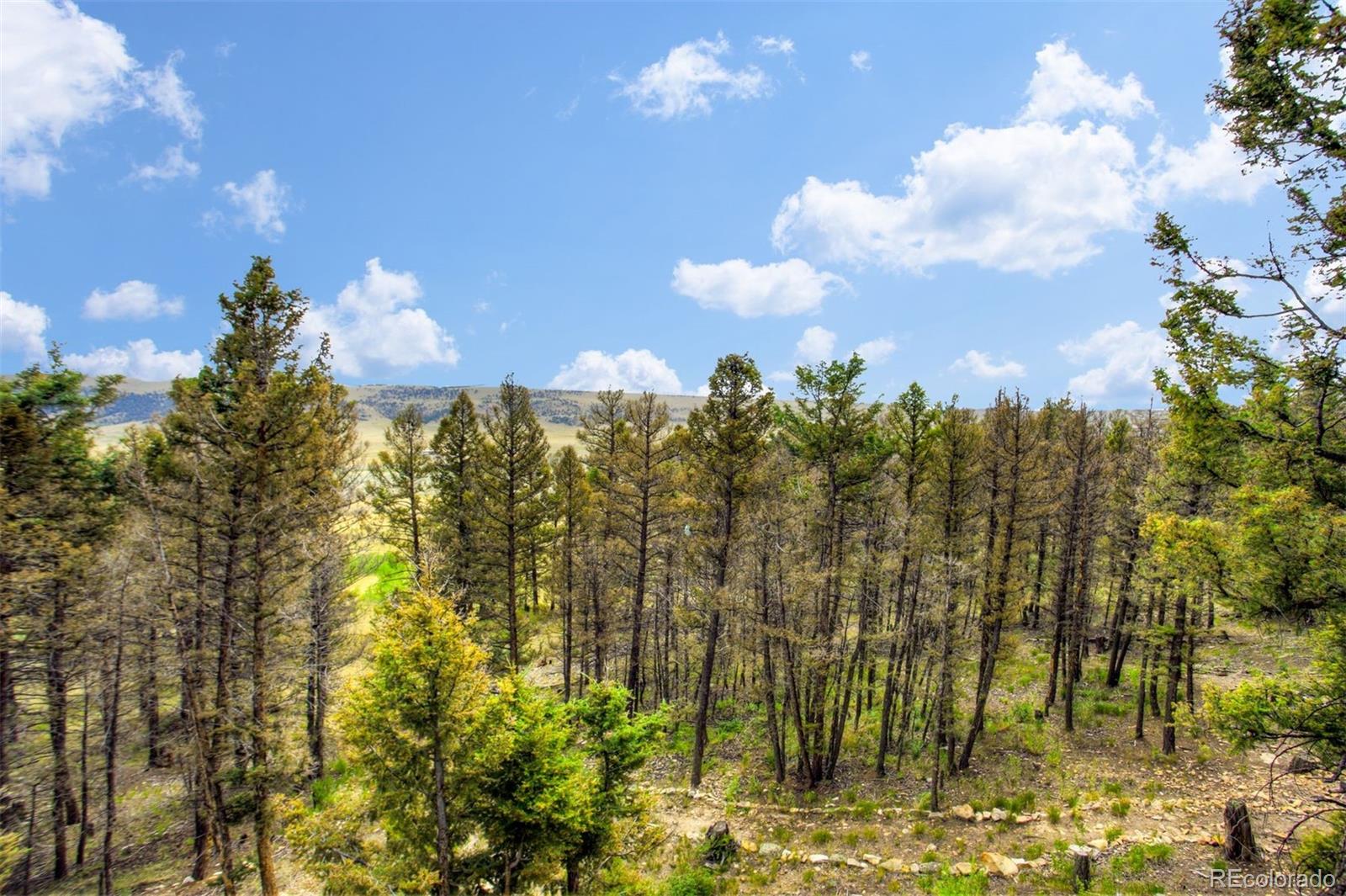 MLS Image #24 for 1764  redhill road,fairplay, Colorado