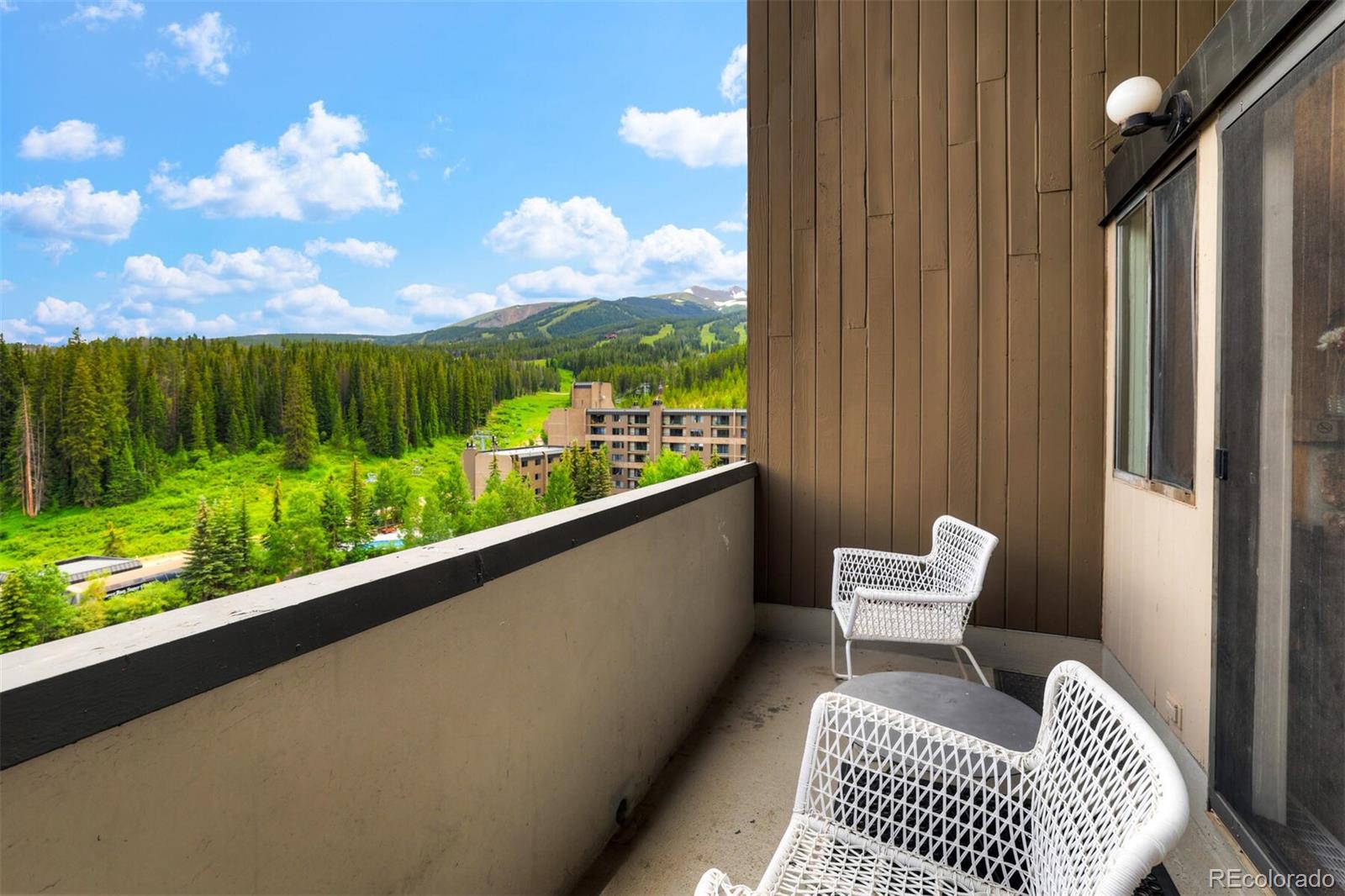 MLS Image #22 for 631  village road 3-6370,breckenridge, Colorado