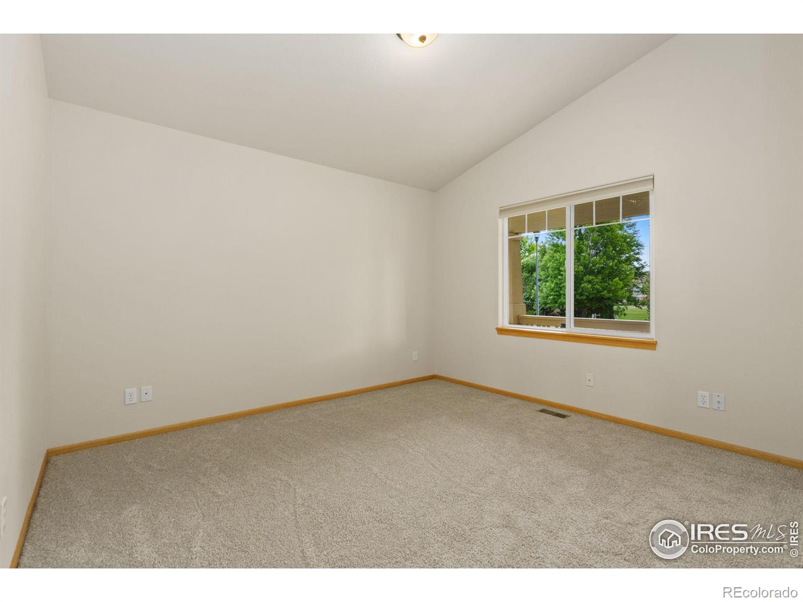 MLS Image #12 for 1814  rosemary court,fort collins, Colorado