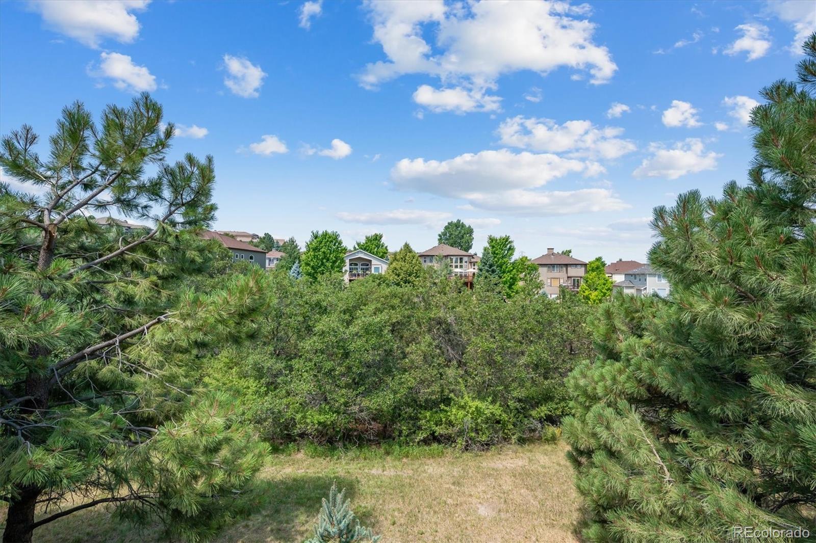 MLS Image #45 for 12375  blue terrace way,castle pines, Colorado