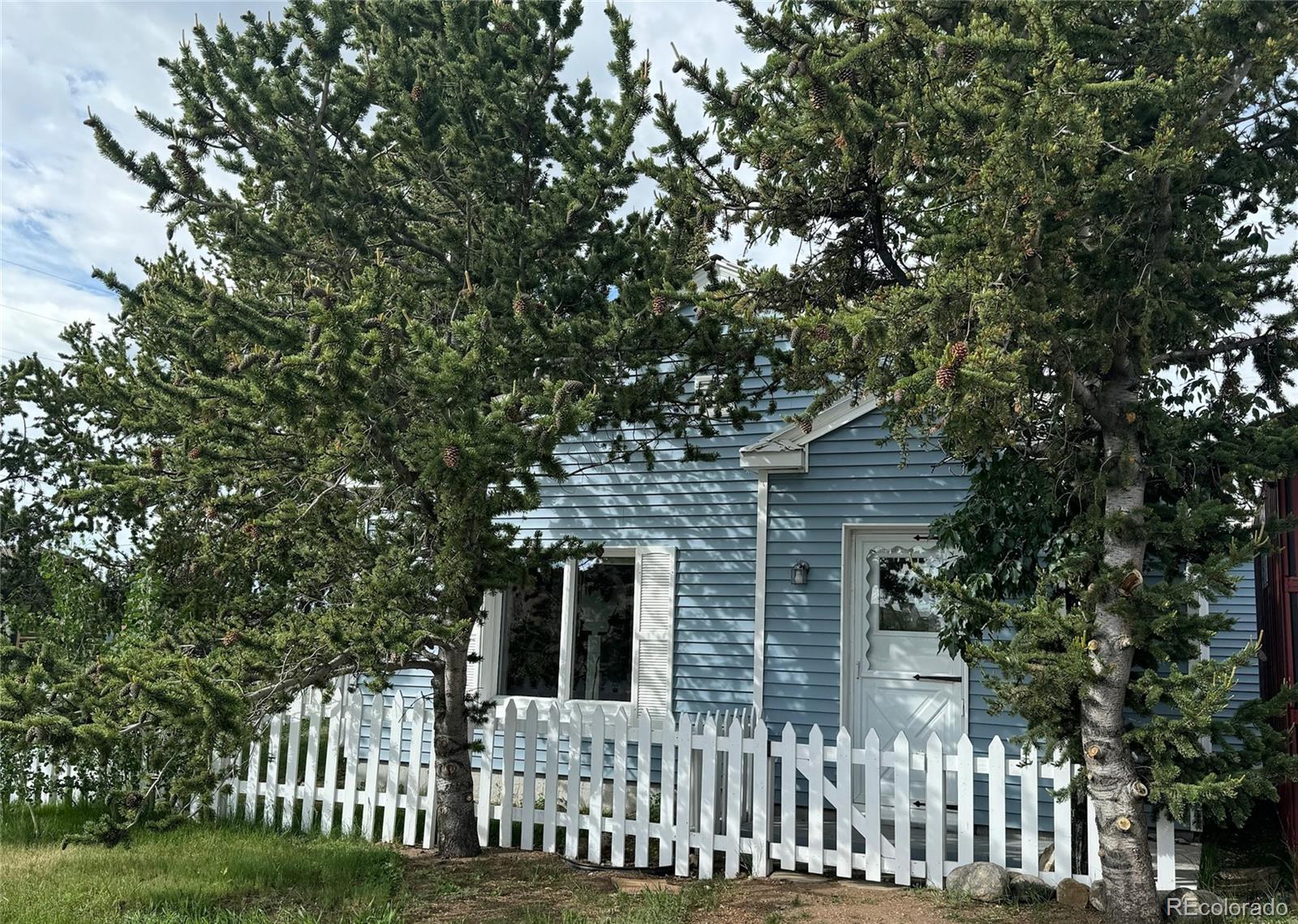 MLS Image #18 for 791  hathaway street,fairplay, Colorado