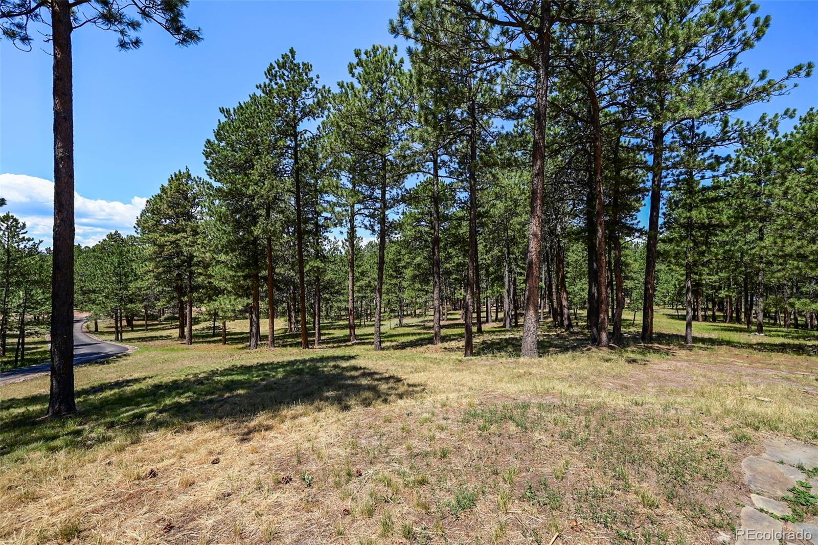 MLS Image #5 for 19951  elk creek drive,colorado springs, Colorado