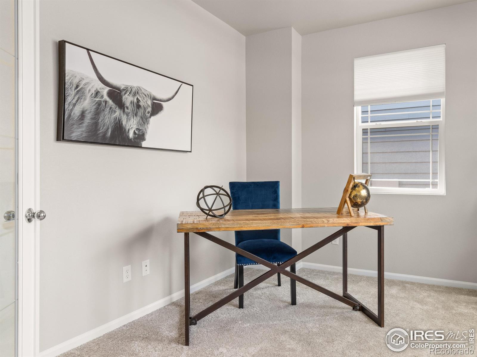 MLS Image #8 for 1028  sugar beet circle,longmont, Colorado