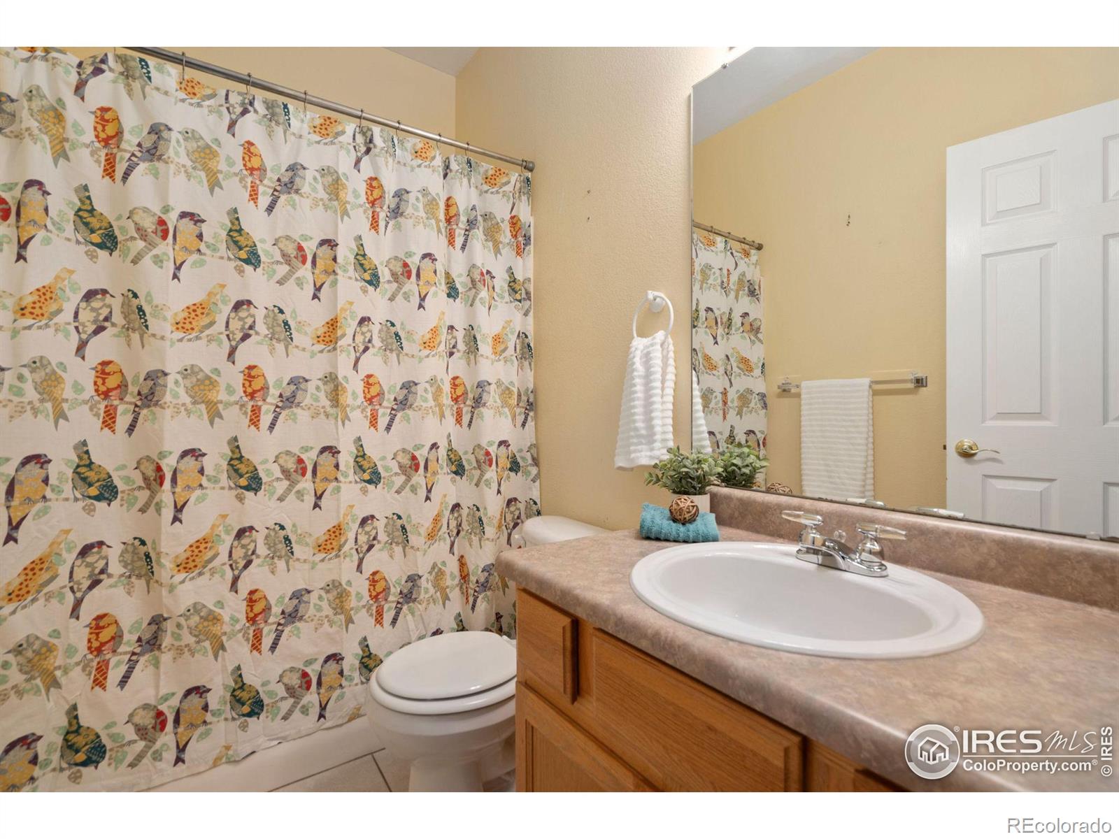 MLS Image #21 for 6520  finch court,fort collins, Colorado