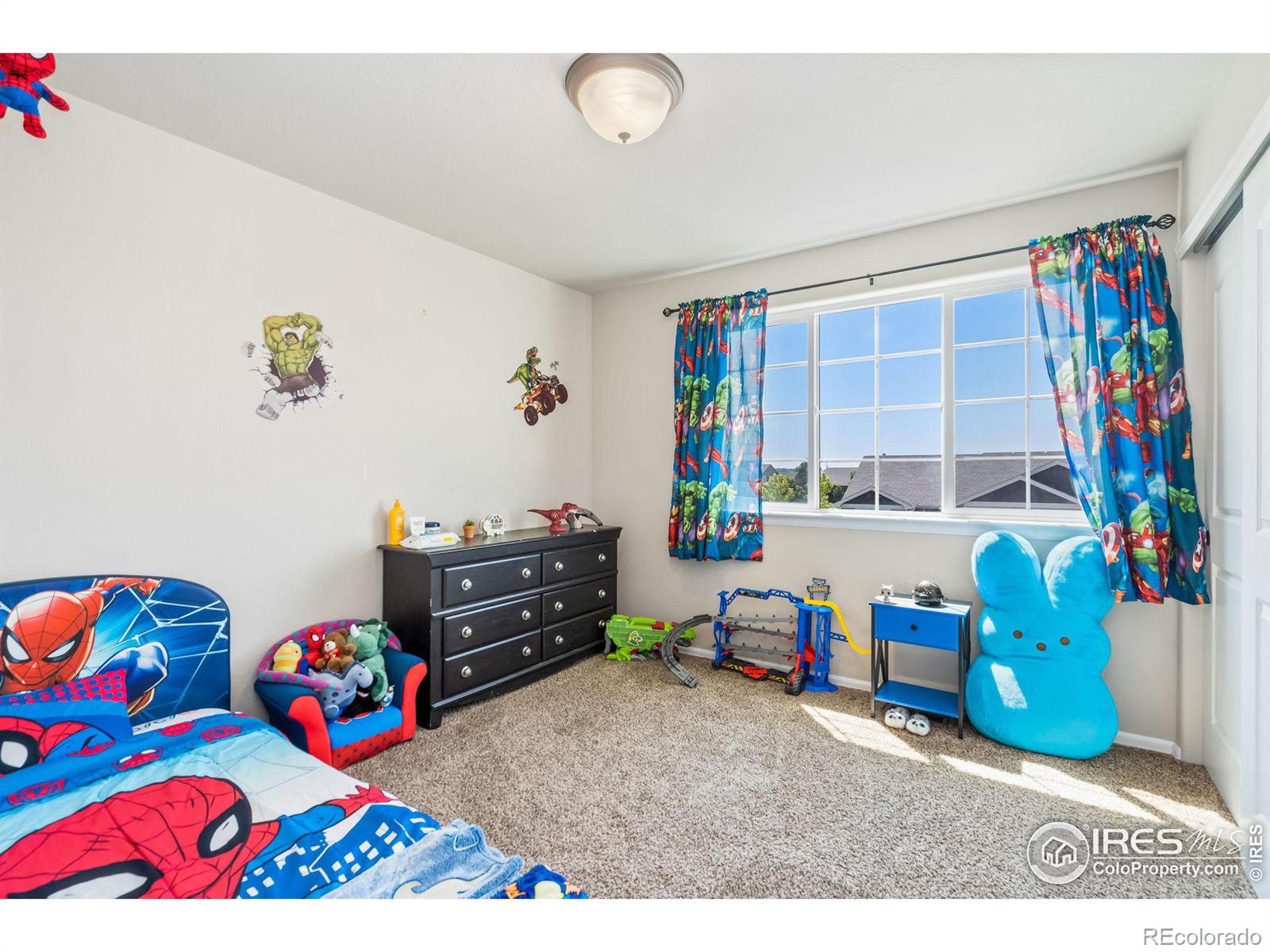 MLS Image #18 for 836  sunlight peak drive,severance, Colorado